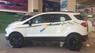 Ford EcoSport 2016 - Bán ô tô Ford EcoSport năm 2016, màu trắng, nhập khẩu nguyên chiếc