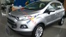 Ford EcoSport Titanium 2017 - Bán xe Ford EcoSport Titanium năm 2017, màu bạc