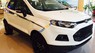 Ford EcoSport 2016 - Bán ô tô Ford EcoSport năm 2016, màu trắng, nhập khẩu nguyên chiếc