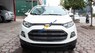 Ford EcoSport Titanium 2017 - Bán xe Ford EcoSport Titanium năm 2017, màu trắng, giá 600tr