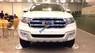 Ford Everest 2.2L 4x2 Titanium AT 2017 - Bán Ford Everest 2.2L 4x2 Titanium AT năm sản xuất 2017, màu trắng, nhập khẩu nguyên chiếc