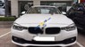 BMW 3 Series 320i 2015 - Bán ô tô BMW 3 Series 320i đời 2015, màu trắng, bảo dưỡng chính hãng