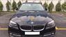 BMW 5 Series 520i 2015 - Cần bán lại xe BMW 5 Series 520i 2015, màu đen, nhập khẩu chính hãng