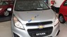 Chevrolet Spark Duo 2016 - Chevrolet Cần Thơ: Chevrolet Spark Duo, bán tải nhỏ gọn tiện sử dụng