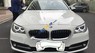 BMW 5 Series 520i 2015 - Cần bán lại xe BMW 5 Series 520i sản xuất 2015, màu trắng, xe nhập