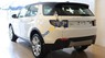 LandRover Discovery Sport SE 2.0 2017 - Bán xe LandRover Discovery Sport SE 2.0 sản xuất 2017, màu trắng, nhập khẩu nguyên chiếc