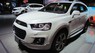 Chevrolet Captiva revv 2017 - Bán Chevrolet Captiva revv đời 2017, màu trắng, 879 triệu