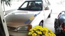 Daewoo Racer 1994 - Cần bán gấp Daewoo Racer năm sản xuất 1994, nhập khẩu 