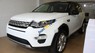 LandRover Discovery Sport SE 2.0 2017 - Bán xe LandRover Discovery Sport SE 2.0 sản xuất 2017, màu trắng, nhập khẩu nguyên chiếc