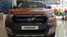 Ford Ranger  Wildtrak 2.2L AT  2017 - Bán Ford Ranger Wildtrak 2.2L AT năm sản xuất 2017, nhập khẩu, 837 triệu