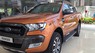 Ford Ranger  Wildtrak 2.2L AT  2017 - Bán Ford Ranger Wildtrak 2.2L AT năm sản xuất 2017, nhập khẩu, 837 triệu