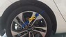 Kia Rondo 2.0AT 2017 - Bán xe Kia Rondo 2.0AT 2017, màu trắng 