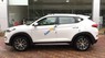 Hyundai Tucson 2017 - Bán ô tô Hyundai Tucson sản xuất 2017, màu trắng, nhập khẩu