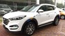 Hyundai Tucson 2017 - Bán ô tô Hyundai Tucson sản xuất 2017, màu trắng, nhập khẩu