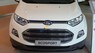 Ford EcoSport 1.5L AT Titanium 2016 - Bán Ford EcoSport 1.5L AT Titanium sản xuất 2016, màu trắng, giá chỉ 600 triệu