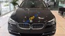 BMW 528i 2017 - Bán BMW 528i sản xuất 2017, màu đen, xe nhập