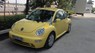 Volkswagen Beetle 2004 - Bán Volkswagen Beetle sản xuất 2004, màu vàng, nhập khẩu chính chủ, giá tốt