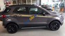 Ford EcoSport 2017 - Bán Ford EcoSport năm sản xuất 2017, màu xám, giá tốt