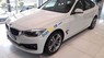 BMW 3 Series 320GT 2017 - Bán ô tô BMW 3 Series 320GT năm 2017, màu trắng, xe nhập