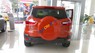 Ford EcoSport Titanium 2017 - Bán Ford EcoSport Titanium năm sản xuất 2017