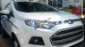 Ford EcoSport Trend 1.5MT 2017 - Bán ô tô Ford EcoSport Trend 1.5MT sản xuất năm 2017, màu trắng giá cạnh tranh