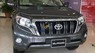 Toyota Prado 2017 - Bán Toyota Prado sản xuất năm 2017, màu xám, nhập khẩu