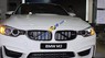BMW M3 2017 - Bán xe BMW M3 sản xuất năm 2017, màu trắng, nhập khẩu