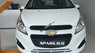 Chevrolet Spark LS   2017 - Cần bán xe Chevrolet Spark LS sản xuất 2017, màu trắng