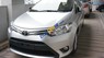 Toyota Vios E MT 2016 - Bán xe Toyota Vios E MT sản xuất 2016, màu bạc, giá chỉ 564 triệu