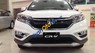 Honda CR V 2.0 2017 - Bán xe Honda CR V 2.4 TG sản xuất năm 2017, màu bạc