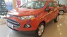 Ford EcoSport Titanium 1.5AT 2017 - Bán Ford EcoSport Titanium 1.5AT năm 2017 giá cạnh tranh