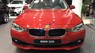 BMW 3 Series 320i 2017 - Cần bán xe BMW 3 Series 320i năm sản xuất 2017, màu đỏ, nhập khẩu nguyên chiếc