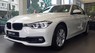 BMW 3 Series 320i 2017 - Cần bán xe BMW 3 Series 320i 2017, màu trắng, nhập khẩu nguyên chiếc