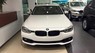 BMW 3 Series 320i 2017 - Cần bán xe BMW 3 Series 320i 2017, màu trắng, xe nhập, giá rẻ nhất