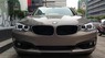BMW 3 Series 320i 2017 - Cần bán xe BMW 3 Series 320i đời 2017, màu nâu, xe nhập