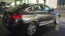 BMW X4 xDrive 20i 2017 - Bán BMW X4 xDrive 20i sản xuất 2017, màu xám, xe nhập