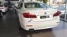 BMW 5 Series 520i 2017 - Cần bán BMW 5 Series 520i đ2017, màu trắng, nhập khẩu chính hãng