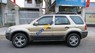 Ford Escape 2002 - Bán Ford Escape năm 2002, màu vàng số tự động