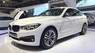 BMW 3 Series 320i GT 2017 - Bán ô tô BMW 3 Series 320i GT 2017, màu trắng, xe nhập, giao nhanh nhất, giá tốt nhất