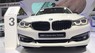 BMW 3 Series 320i GT 2017 - Bán ô tô BMW 3 Series 320i GT 2017, màu trắng, xe nhập, giao nhanh nhất, giá tốt nhất