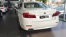 BMW 5 Series 520i 2017 - Cần bán xe BMW 5 Series 520i 2017 hoàn toàn mới, màu trắng, nhập khẩu chính hãng