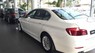 BMW 5 Series 520i 2017 - Cần bán xe BMW 5 Series 520i 2017 hoàn toàn mới, màu trắng, nhập khẩu chính hãng