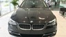 BMW 5 Series 520i 2017 - Bán BMW 5 Series 520i 2017, màu đen, nhập khẩu nguyên chiếc, BMW chính hãng, giá rẻ nhất, giao xe ngay