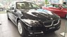 BMW 5 Series 520i 2017 - Bán BMW 5 Series 520i 2017, màu đen, nhập khẩu nguyên chiếc, BMW chính hãng, giá rẻ nhất, giao xe ngay