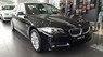 BMW 5 Series 520i 2017 - Bán xe BMW 5 Series 520i 2017, màu đen, xe nhập, giao xe ngay, ưu đãi cực lớn