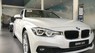 BMW 3 Series 320i LCi 2017 - Bán BMW 3 Series 320i LCi đời 2017, màu trắng, nhập khẩu chính hãng