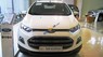 Ford EcoSport 1.5 Titanium 2017 - Bán Ford EcoSport 1.5 Titanium sản xuất 2017, màu trắng