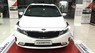 Kia Cerato 1.6AT  2017 - Kia Cerato giá rẻ bất ngờ tại Kia Gò Vấp phù hợp cho cả gia đình và chạy grab, uber 