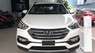 Hyundai Santa Fe 2017 - Xe Hyundai Santa Fe 2017 máy dầu, tiêu chuẩn Euro 4 giao ngay - HD Ngọc An
