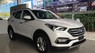 Hyundai Santa Fe 2017 - Xe Hyundai Santa Fe 2017 máy dầu, tiêu chuẩn Euro 4 giao ngay - HD Ngọc An